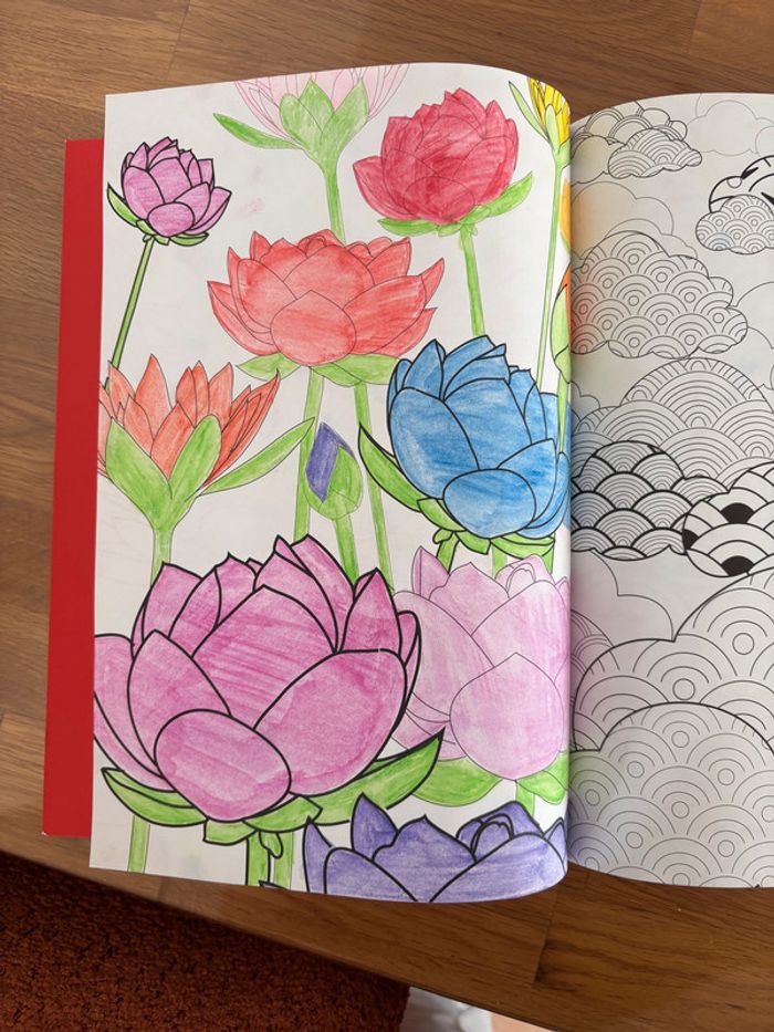 Livre coloriage - photo numéro 5