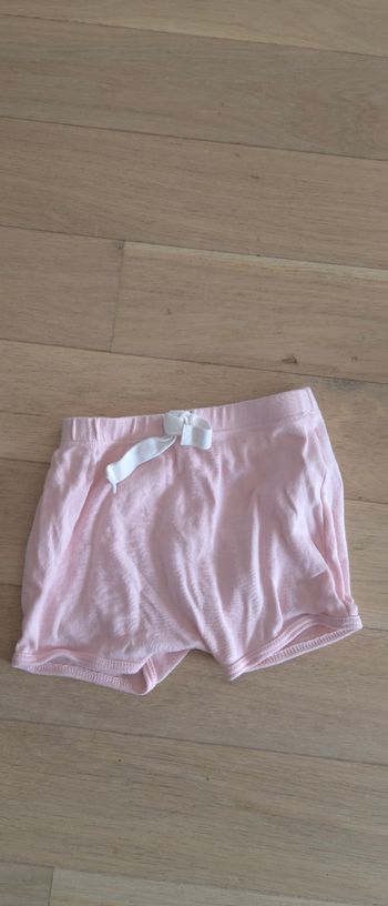 Short rose 18M