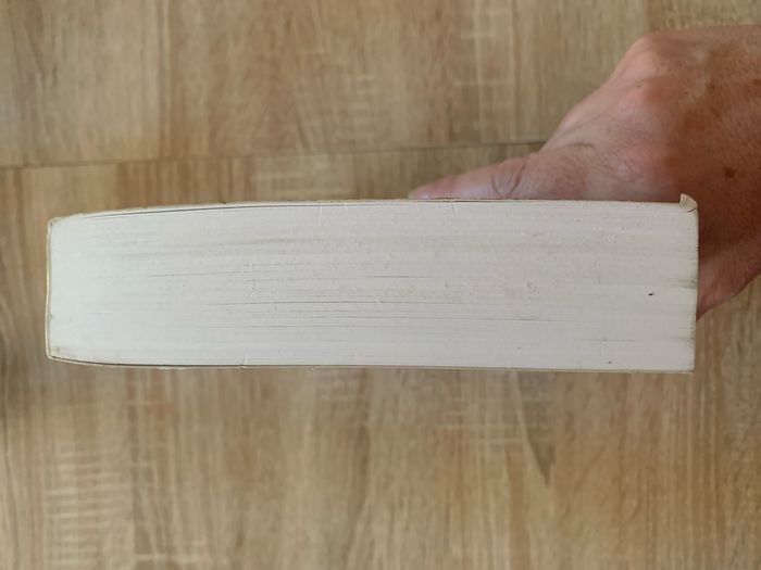 Le codex maya - photo numéro 6