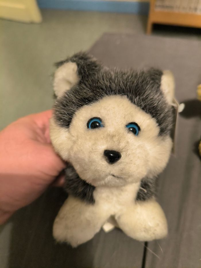 Plusieurs petites peluche