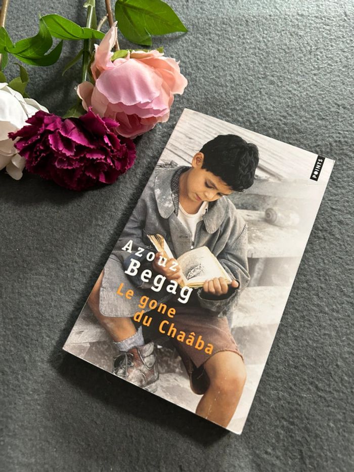 Livre azouz begag - le gone du chaaba
