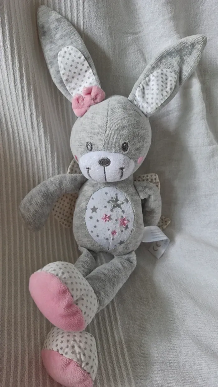 Lapin ange Simba - photo numéro 4