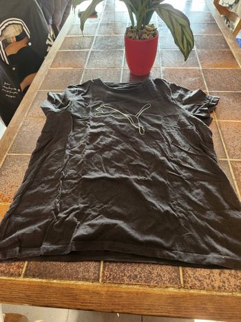 Tee-shirt manches courtes