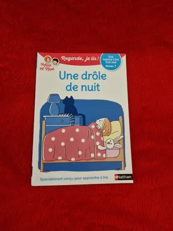 Livre regarde je lis mila et noé, une drôle de nuit