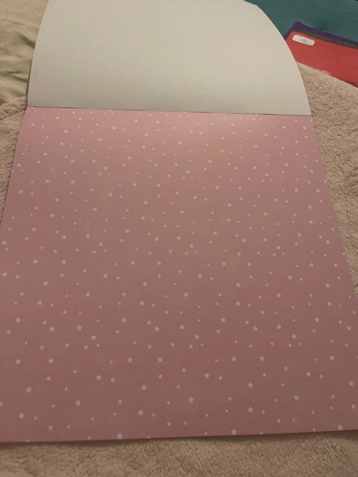 Carnet de paiers - photo numéro 11