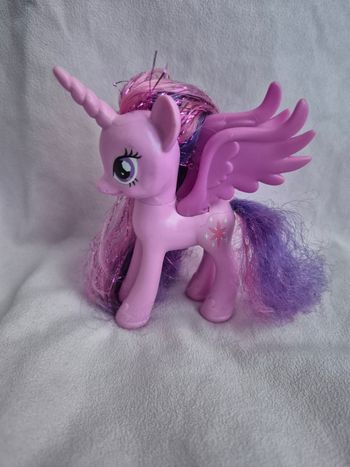Petit poney