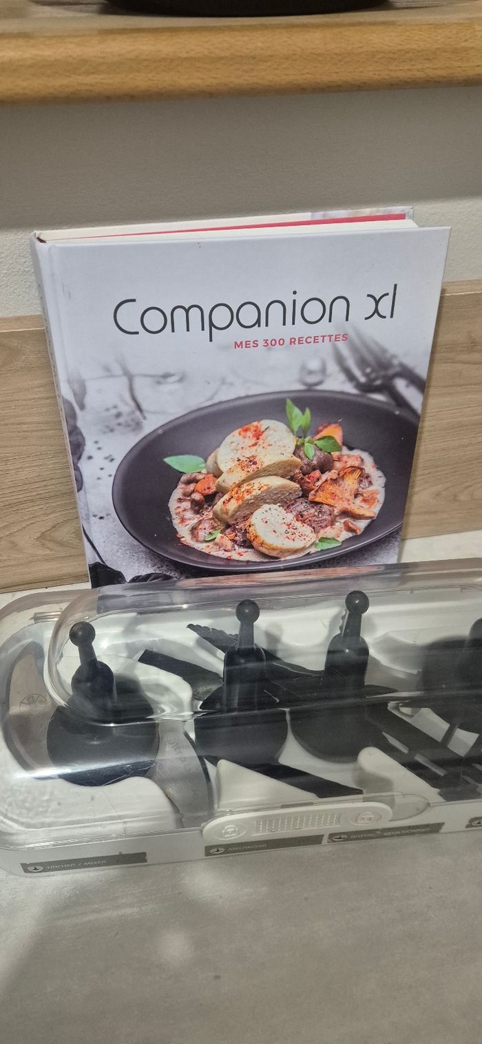 Companion xl (RÉSERVÉ) - photo numéro 8