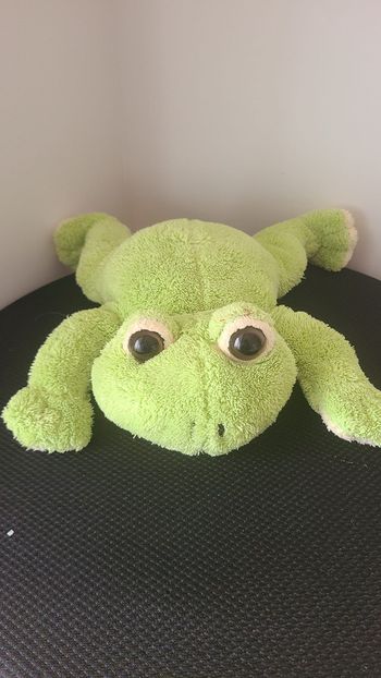 doudou grenouille