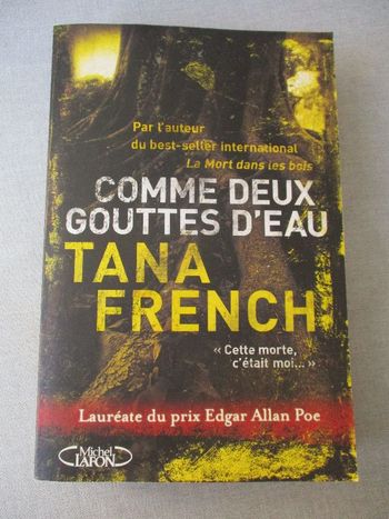 Comme deux gouttes d'eau de Tana French