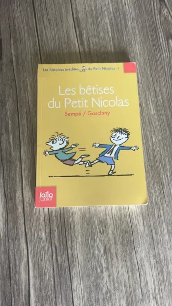 Les bêtises du petit Nicolas