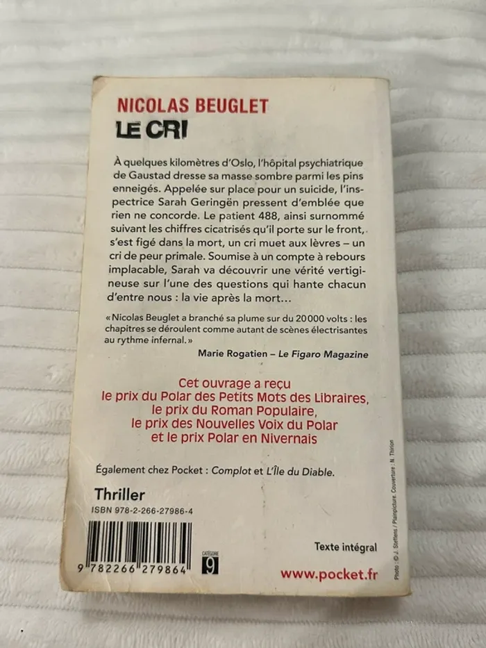 Le cri - nicolas beuglet - photo numéro 2