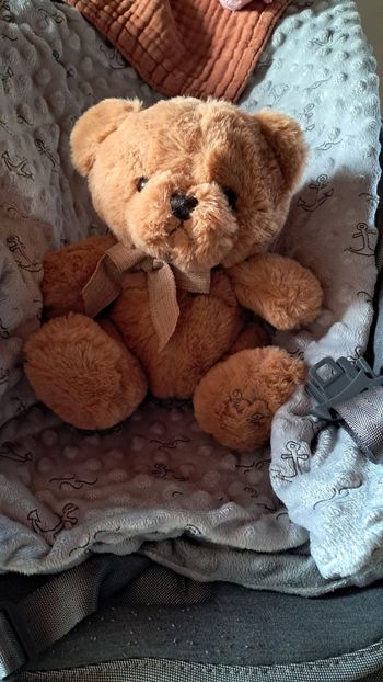 Ours peluche