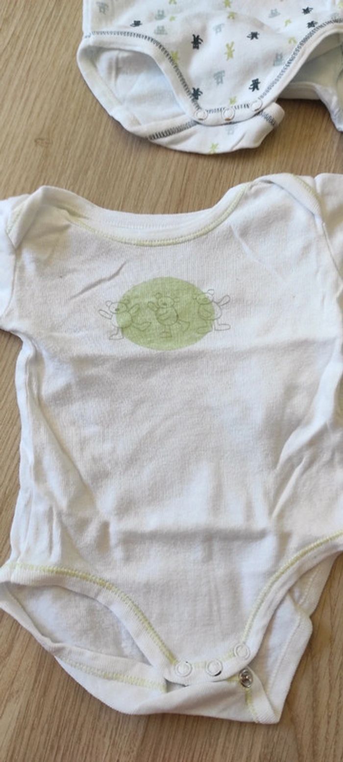 Lot bodies 6 mois - photo numéro 2