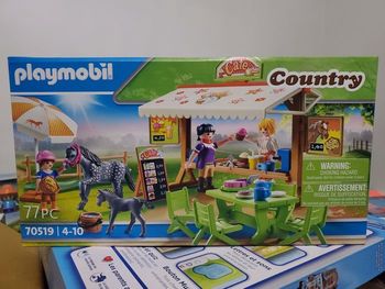 Playmobil 70519.
