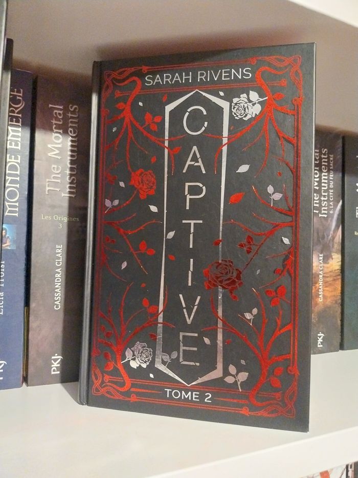 Romans Captive tomes 1.5 Perfectly Wrong et 2 Captive Reliés Collectors jaspage BMR Sarah Rivens Asher Ella Dark Romance - photo numéro 3