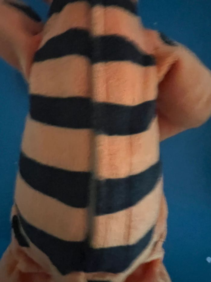 Tigrou et Winnie peluches interactives - photo numéro 4
