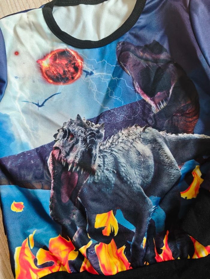 Tshirt manches longues 4 ans dinosaures - photo numéro 2