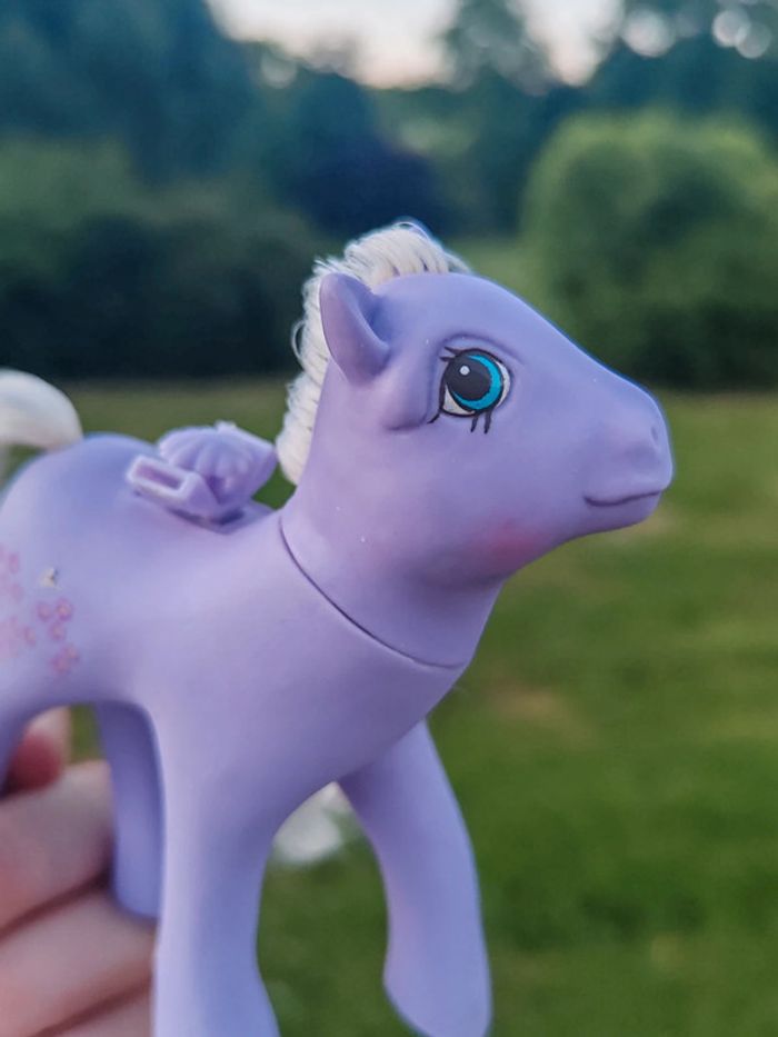 Petit poney g1 - flutter forget-me-not - photo numéro 2