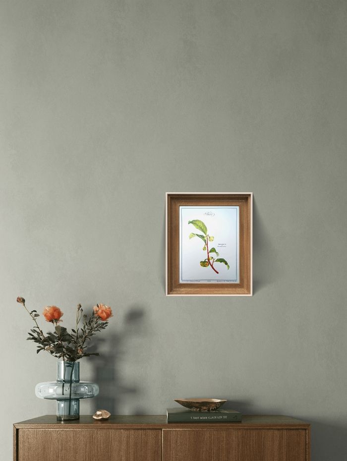 Imprimée en 1987, Le Théier. Original Vintage Authentique. - photo numéro 6