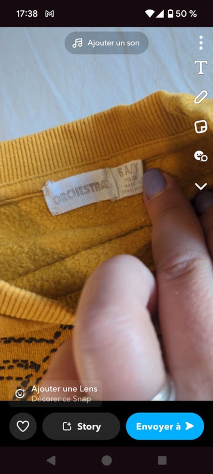 Pull tigre - photo numéro 3