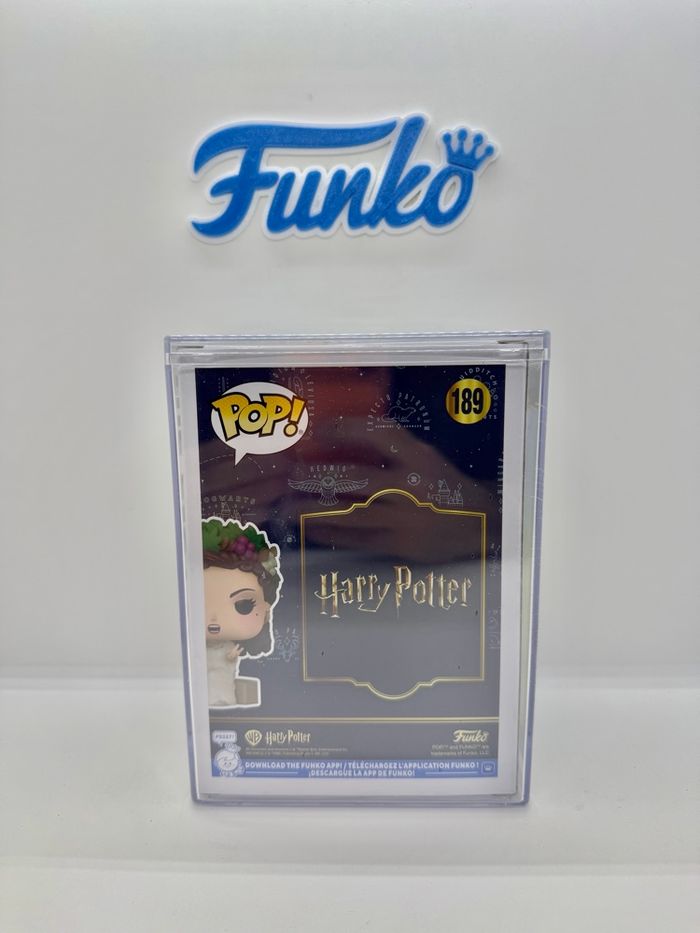 Funko Pop Harry Potter The Fat Lady 189 Chase 583 Pcs - photo numéro 4