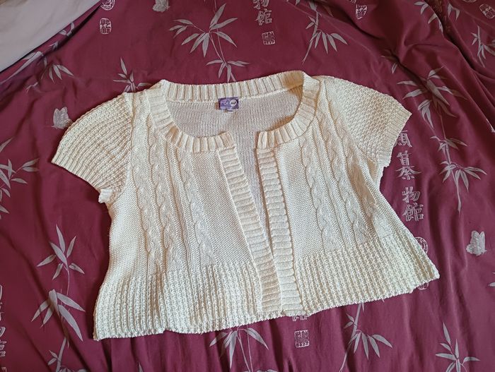 Gilet/Tricot court taille 46-48 - photo numéro 10