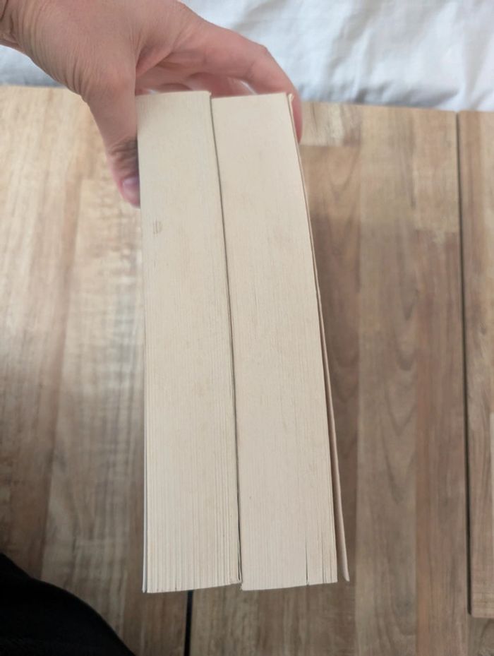 Lot livres Quand le Dogme chassa la Lumière - photo numéro 8
