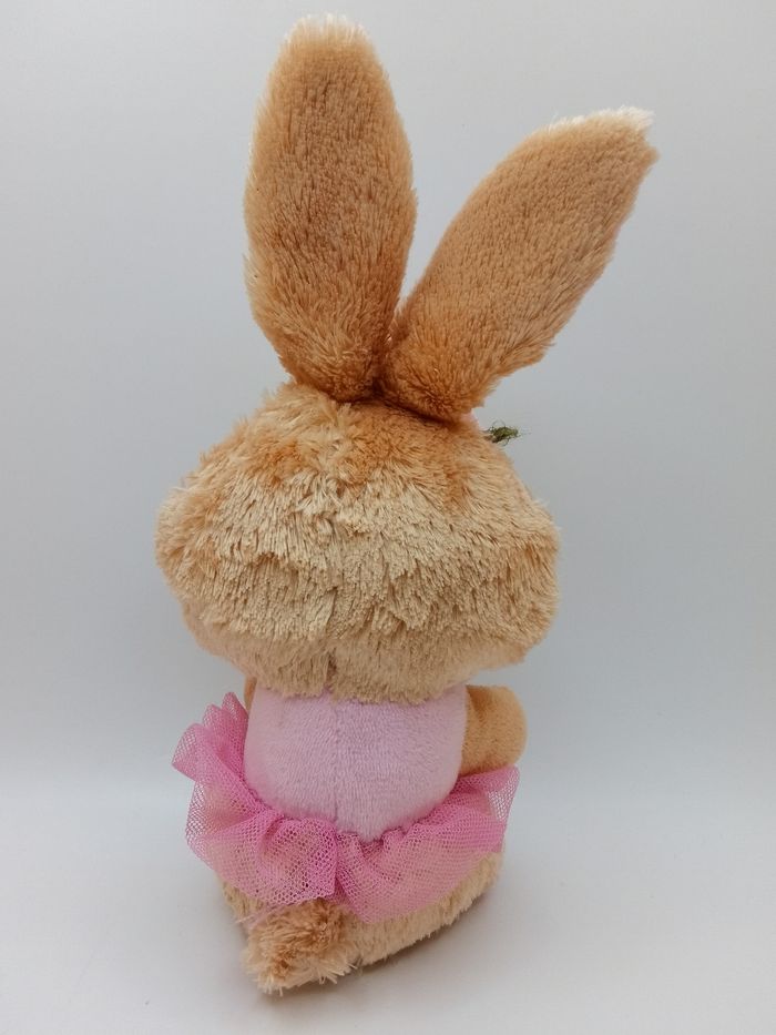 Lapin Ty - photo numéro 2