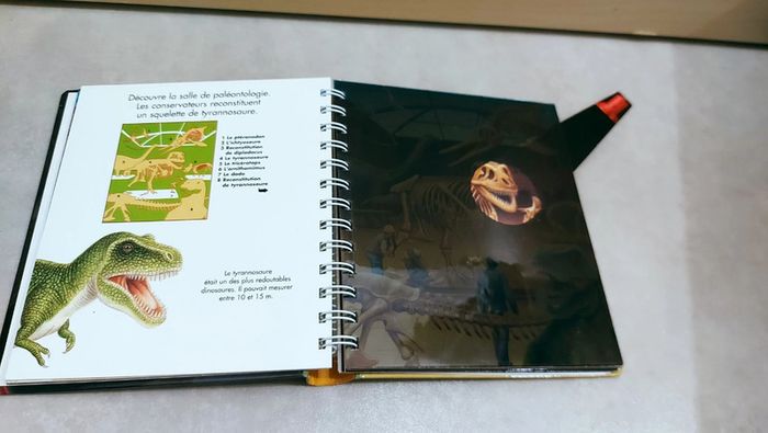 📕 Livre mes premières découvertes : Une nuit au musée Lampe magique - photo numéro 4