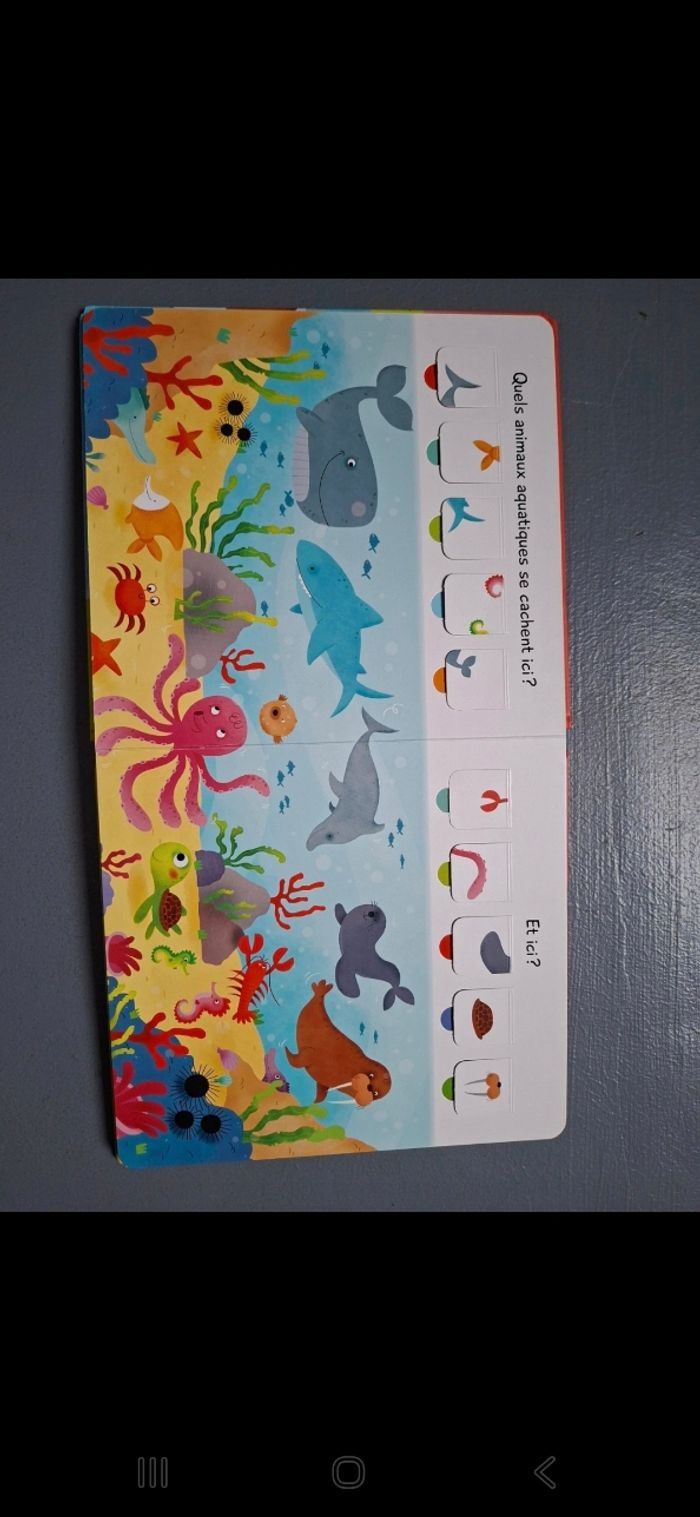 Livre à rabats - photo numéro 5