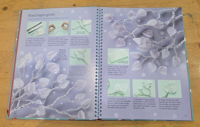 Livre : Idées pour Noël - photo numéro 2