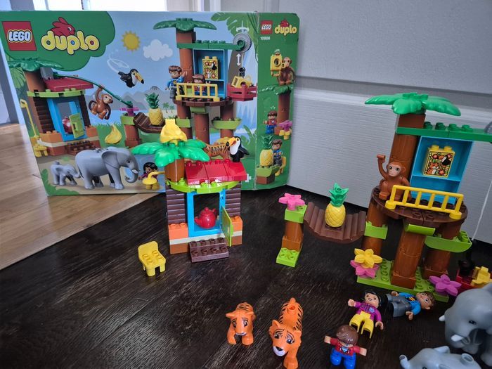 Foret tropicale jungle duplo - photo numéro 2
