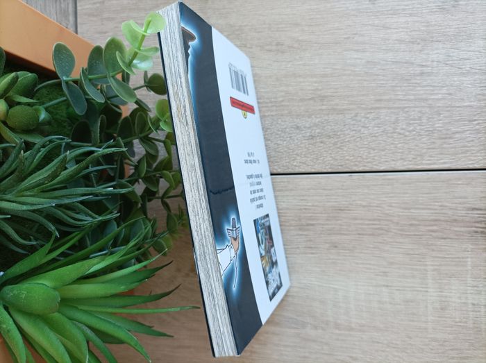 Manga shaman King numéro 13 Kana - photo numéro 6