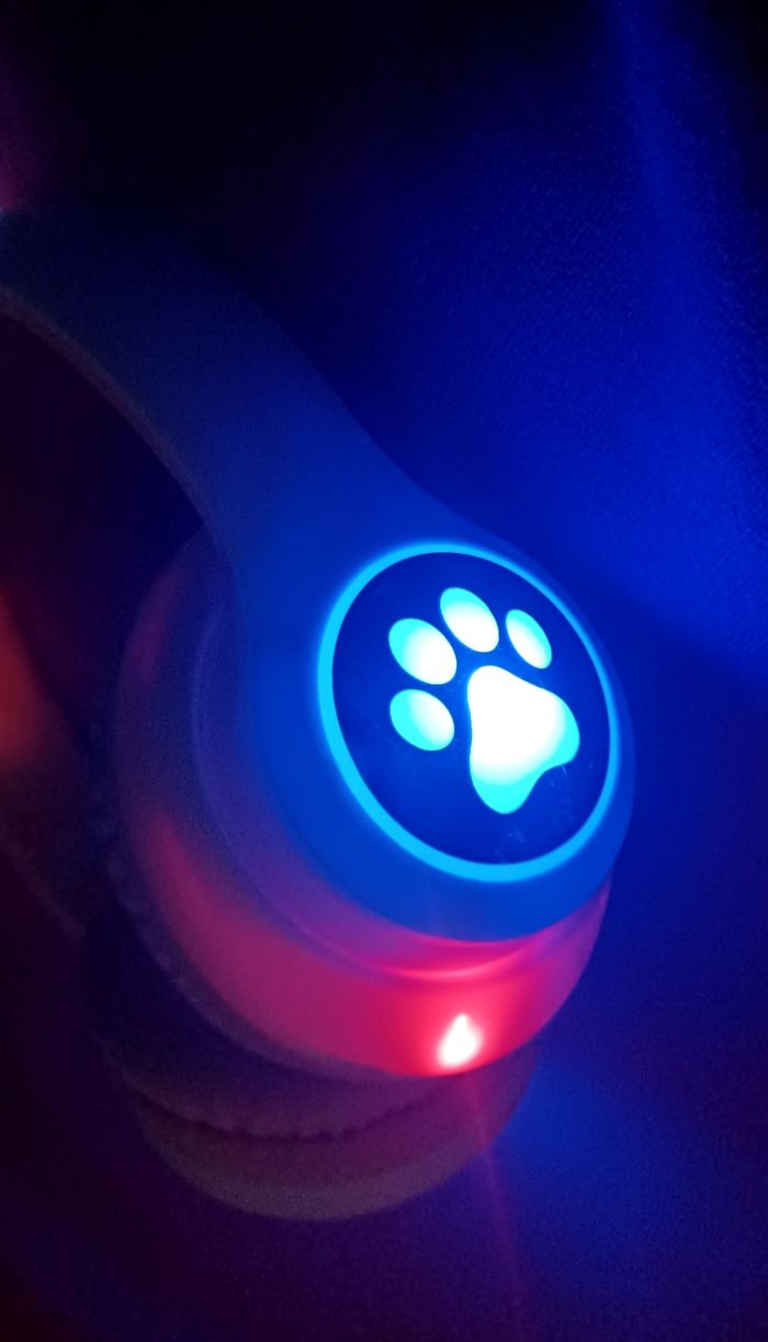 Casque oreilles de chat - photo numéro 5