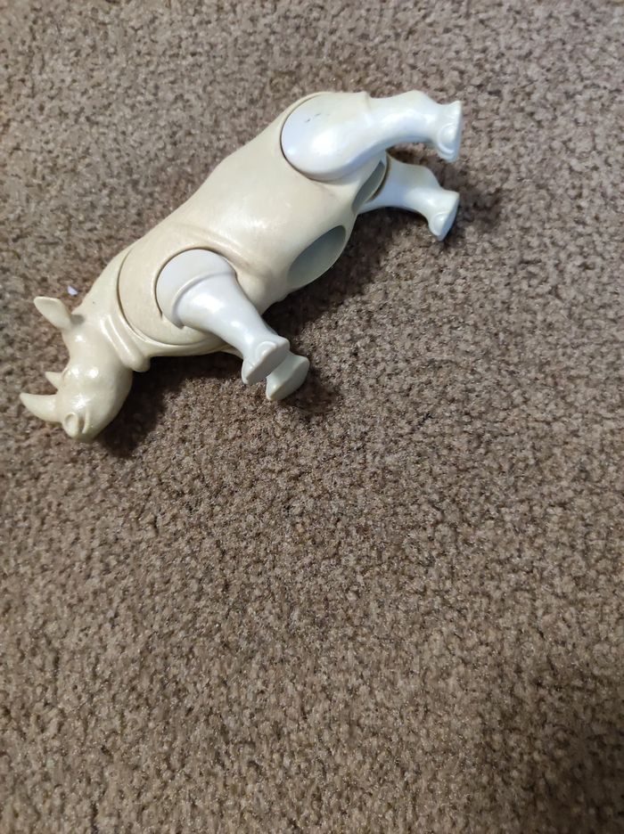 rhinocéros - photo numéro 3