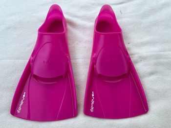 Palme 33 à 34 nabaiji