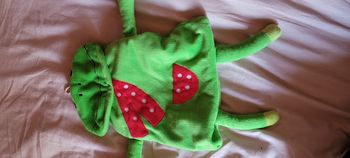 Sac grenouille