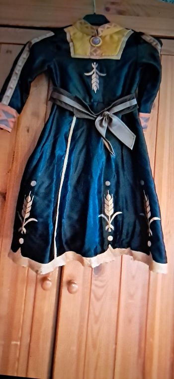 Déguisement reine des neige 