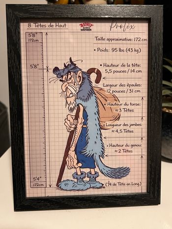 Cadre bois noir 13×18 – Prolix (Astérix)