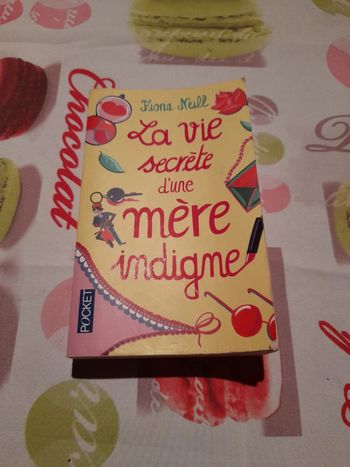 La vie secrète d'une mere indigne