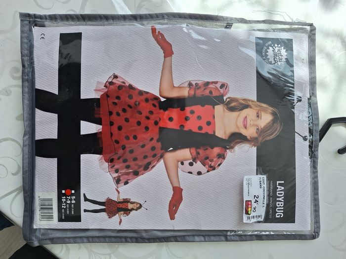 Costume Ladybug