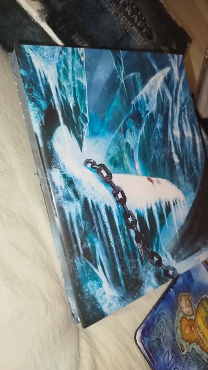 Coffret complet world of warcraft wrath of the lich king - photo numéro 4