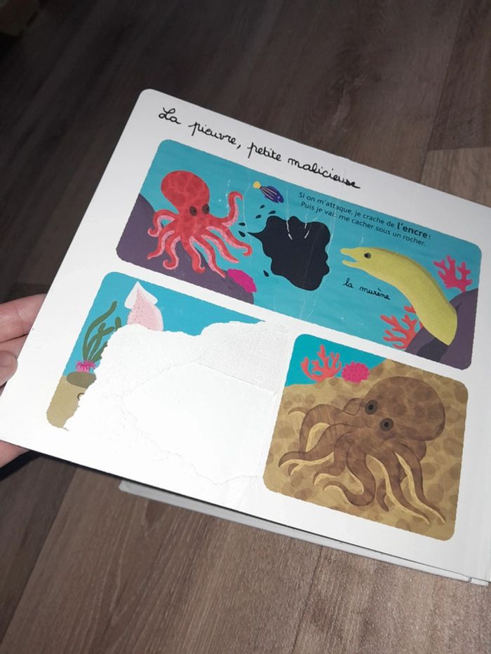 Livre mes animaux des mers à toucher 🌺 - photo numéro 4