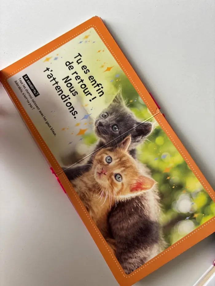 Livre, chats mignons - photo numéro 6