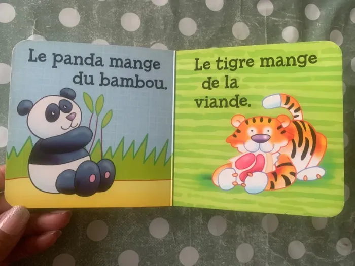 Livre poignée - photo numéro 6