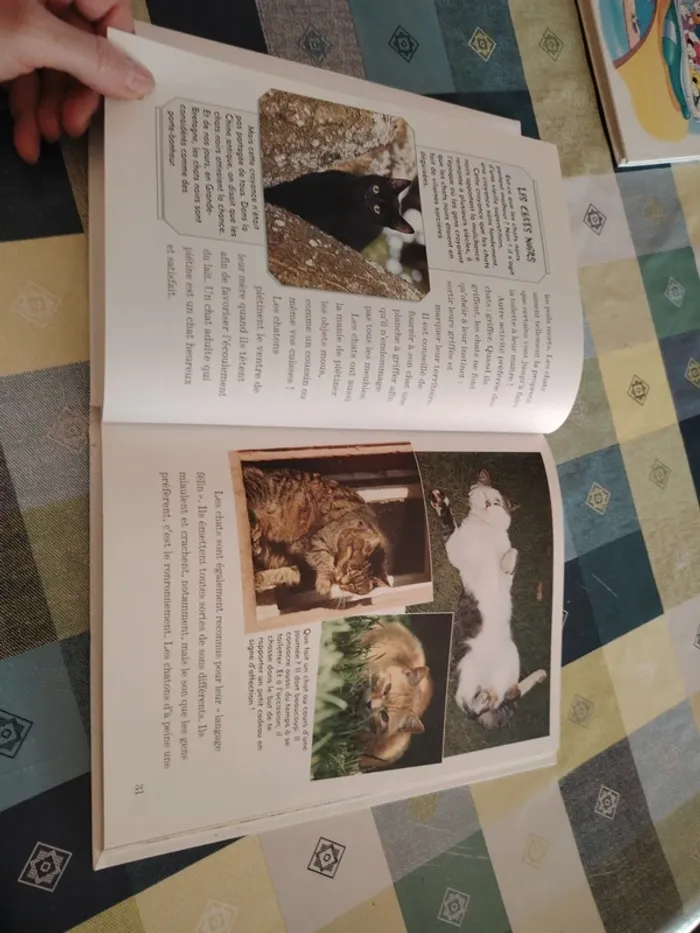 Livre Disney - photo numéro 9