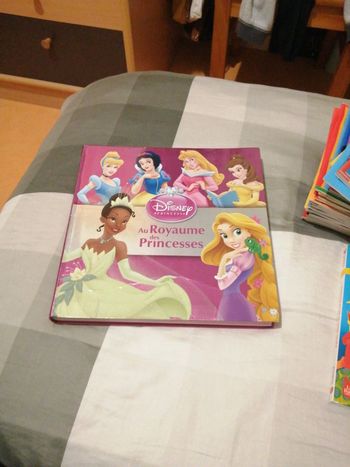 Livre princesses