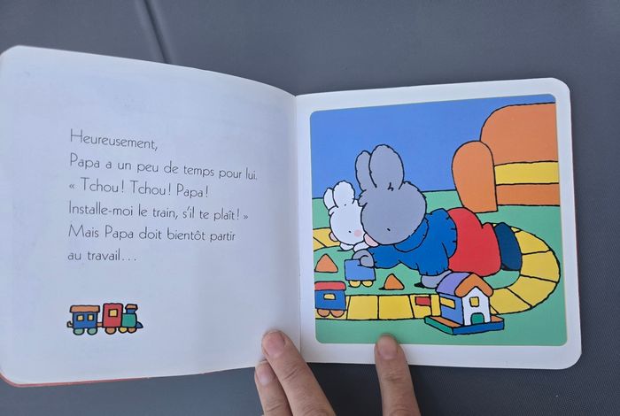 Lot de 4 livres Petit lapin Blanc - photo numéro 6