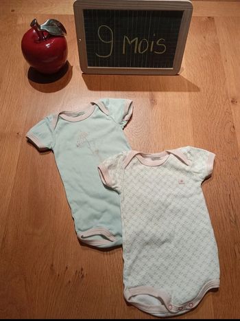 Lot de 2 bodies Petit Bateau taille 9 mois en très bon état.