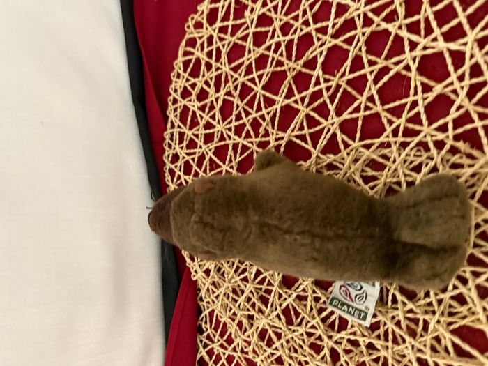 Nature Planet - Peluche - Plan L - Lion de mer - photo numéro 3